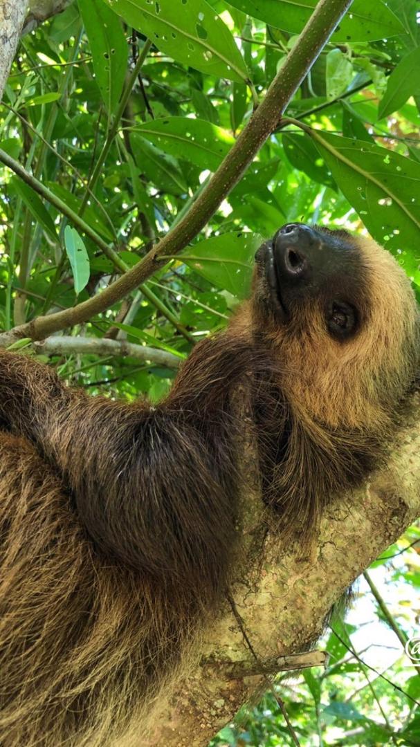 Hotel Eclypse de Mar Acqua Lodge