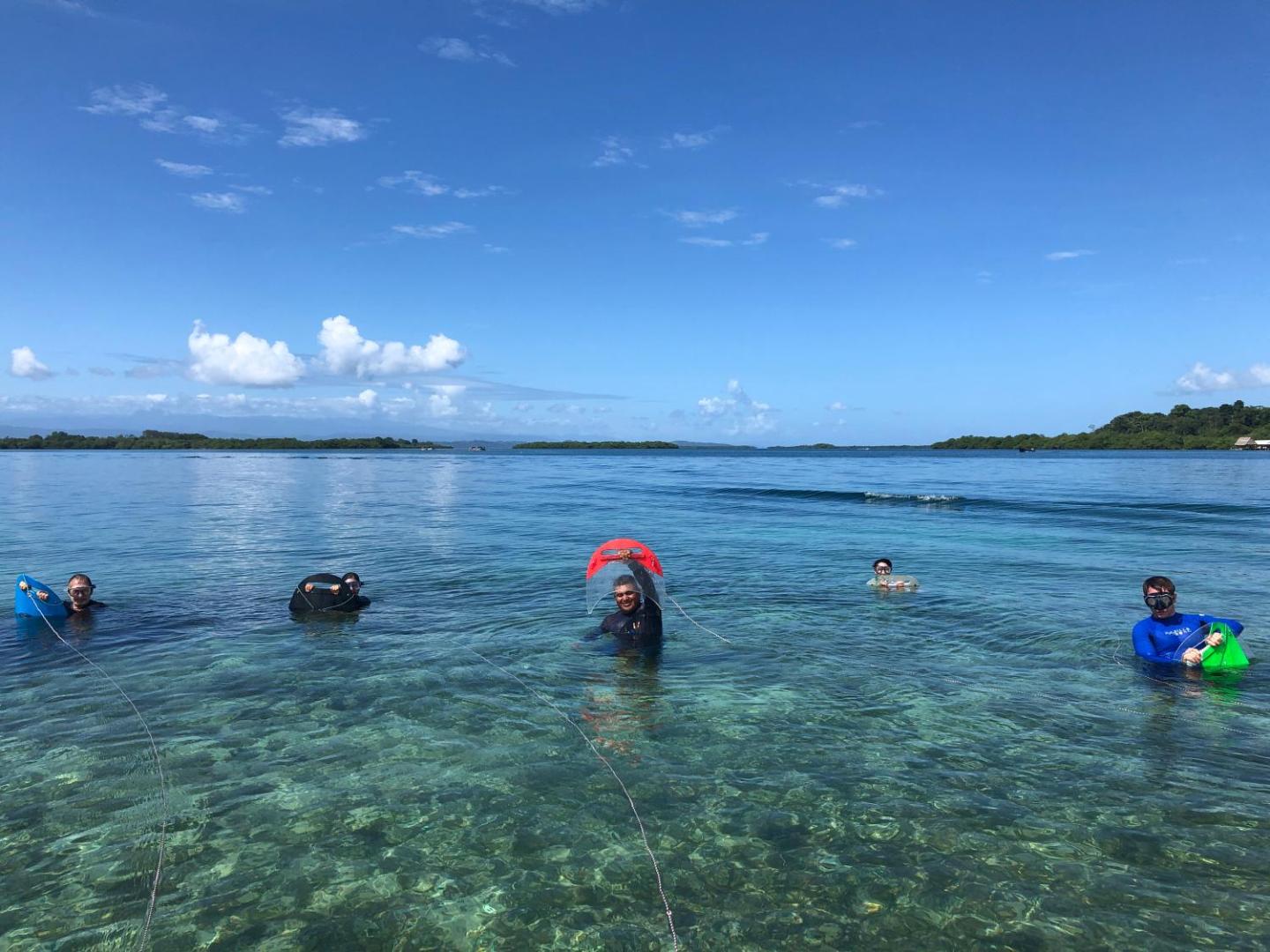 Hotel Eclypse de Mar Acqua Lodge