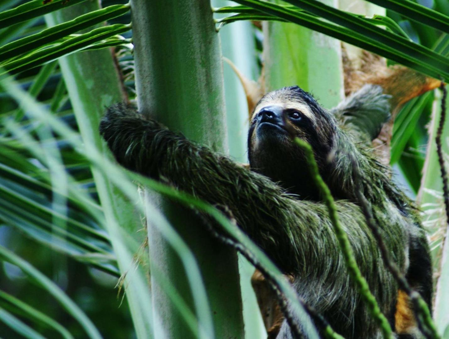 Los Secretos Guesthouse