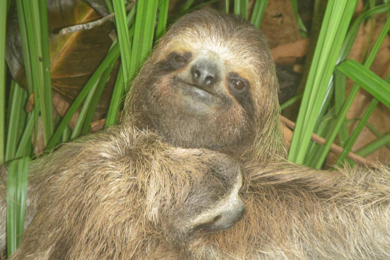 Los Secretos Guesthouse