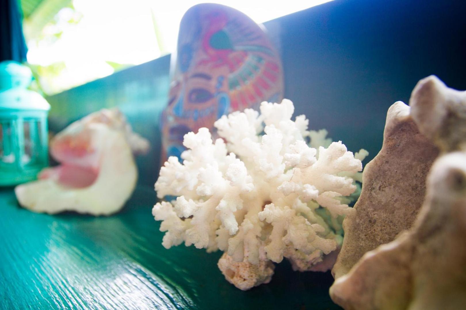 Los Secretos Guesthouse