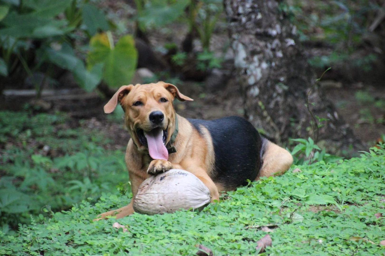 Los Secretos Guesthouse