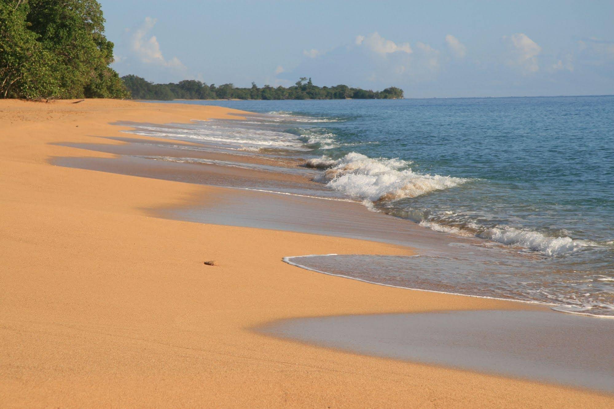 Bluff Beach Retreat