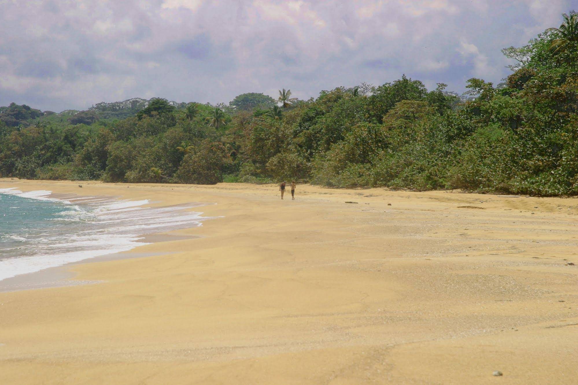 Bluff Beach Retreat