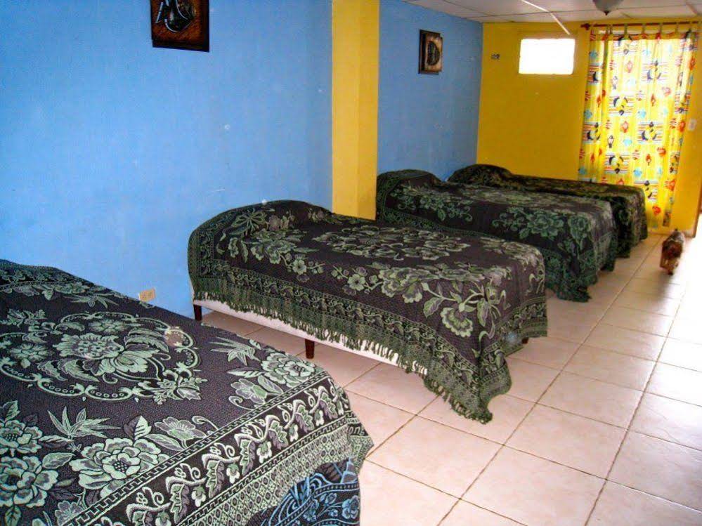 Panama Divers & Octopus Garden Dive Center