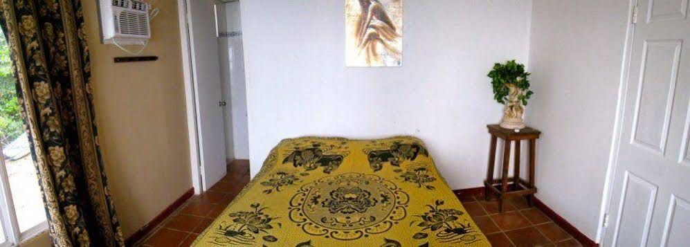 Panama Divers & Octopus Garden Dive Center