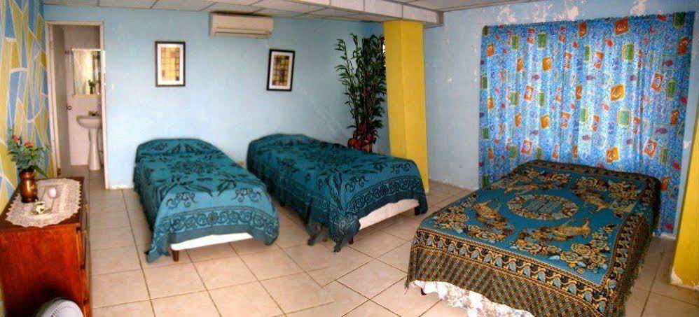 Panama Divers & Octopus Garden Dive Center