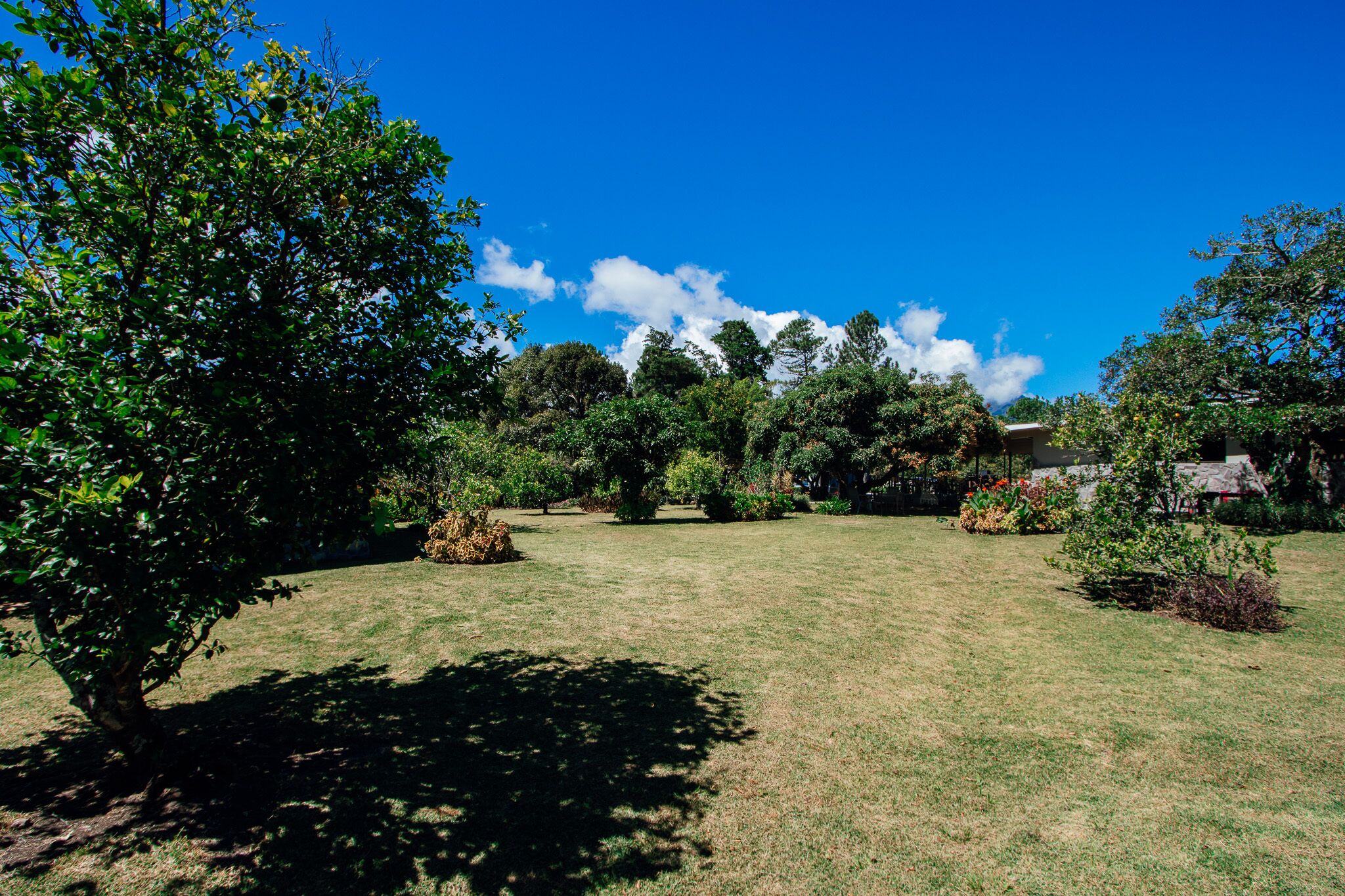 Los Abetos Boutique Hotel