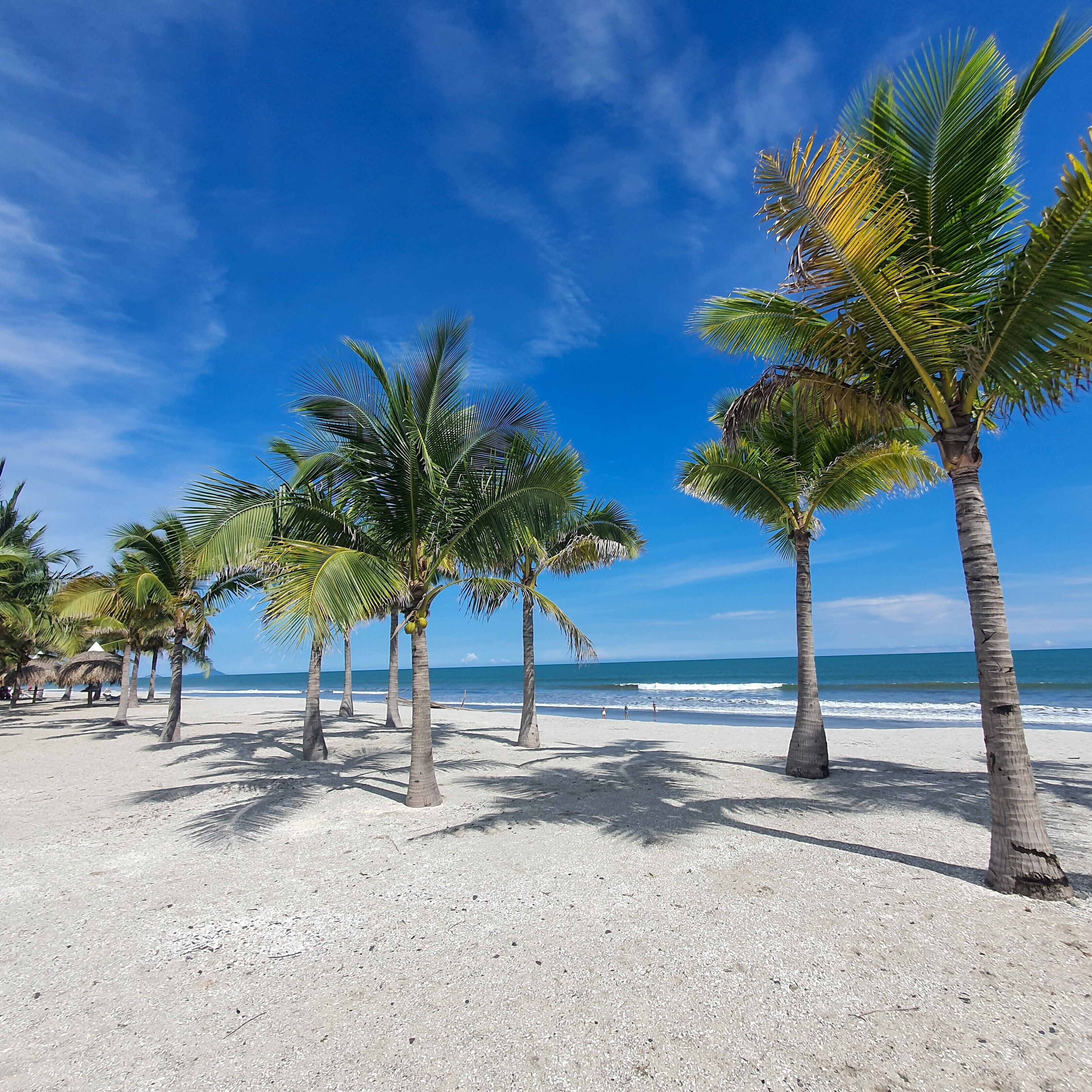 Playa Caracol Residences