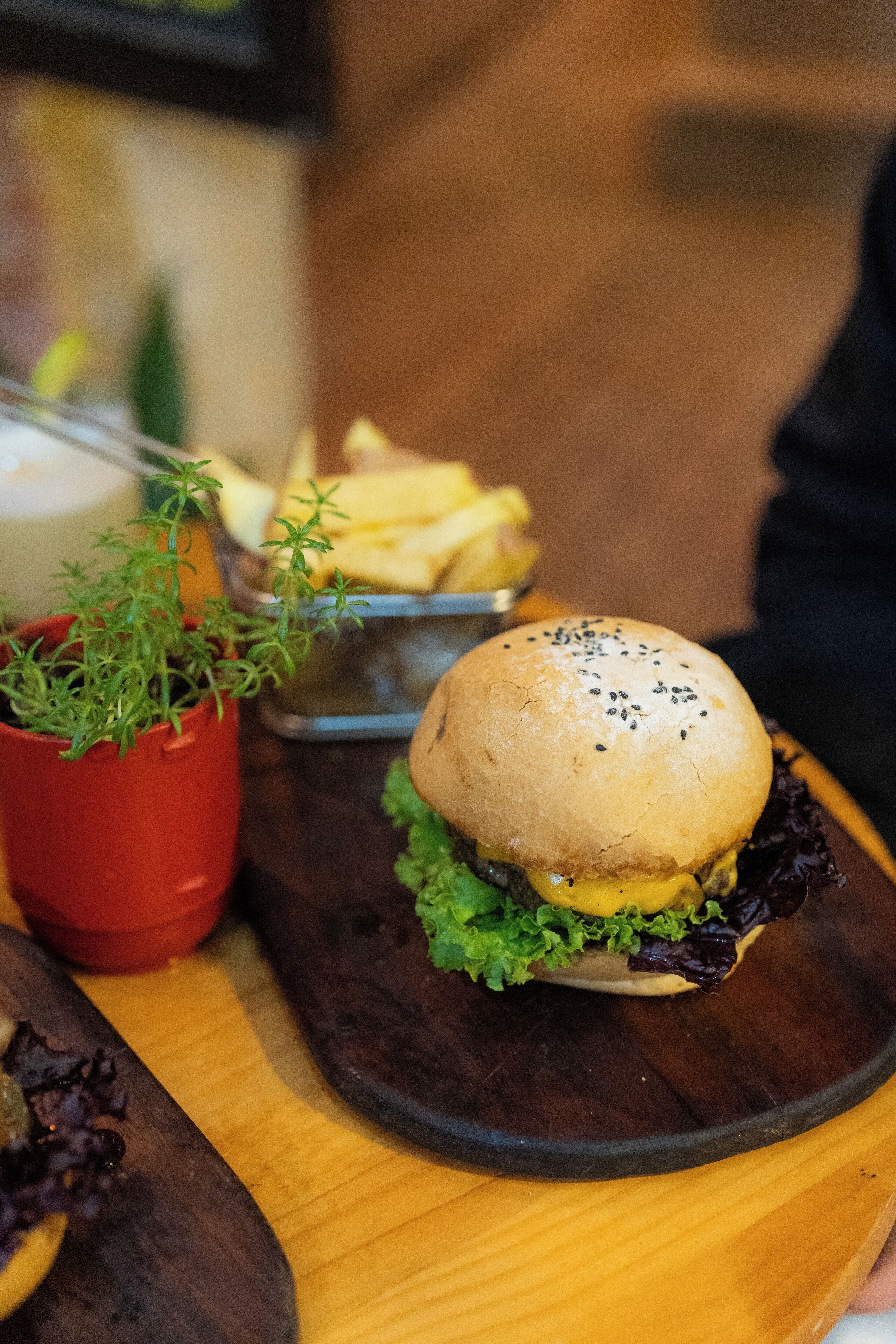 Supertramp Hostel Machupicchu