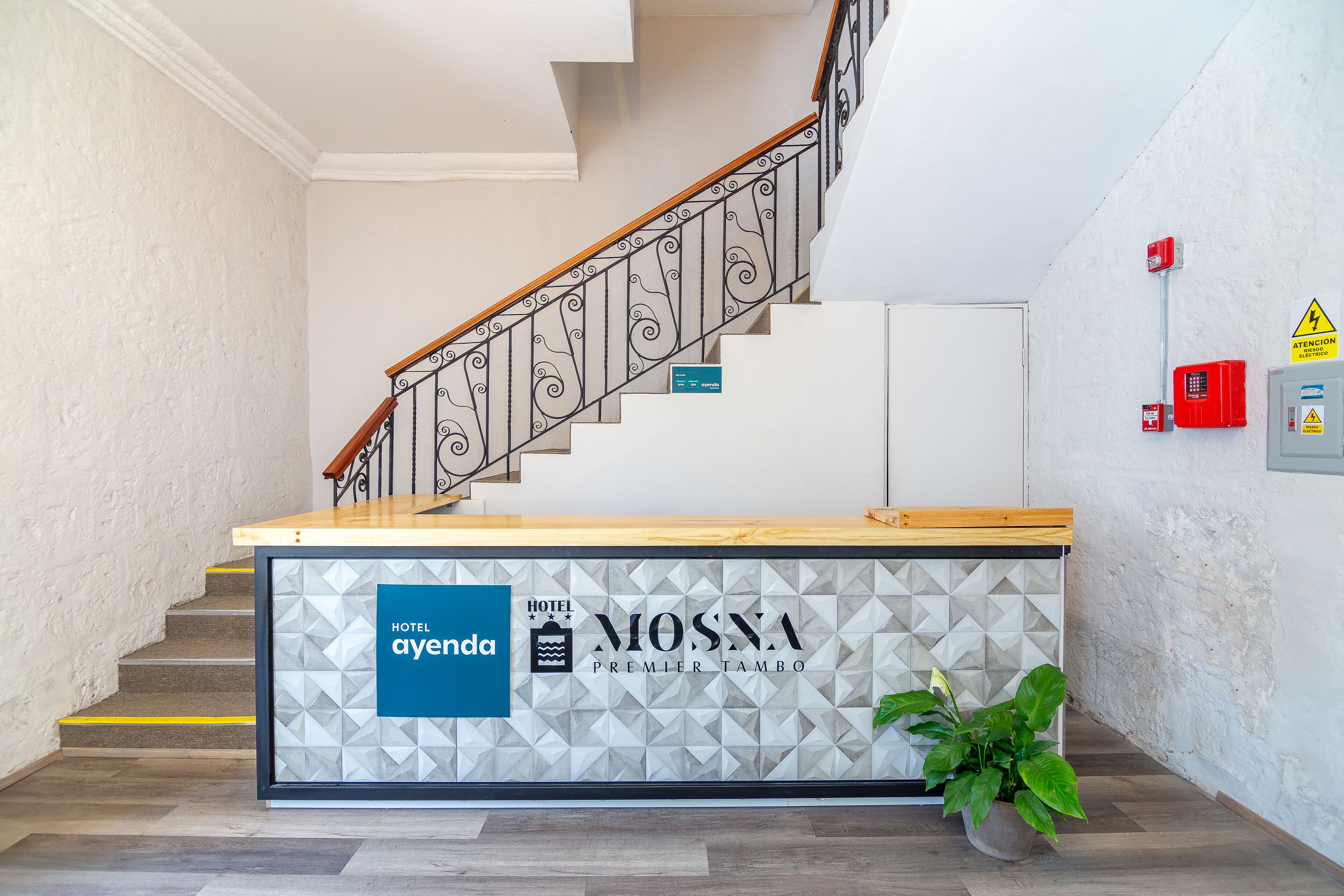 Ayenda Mosna