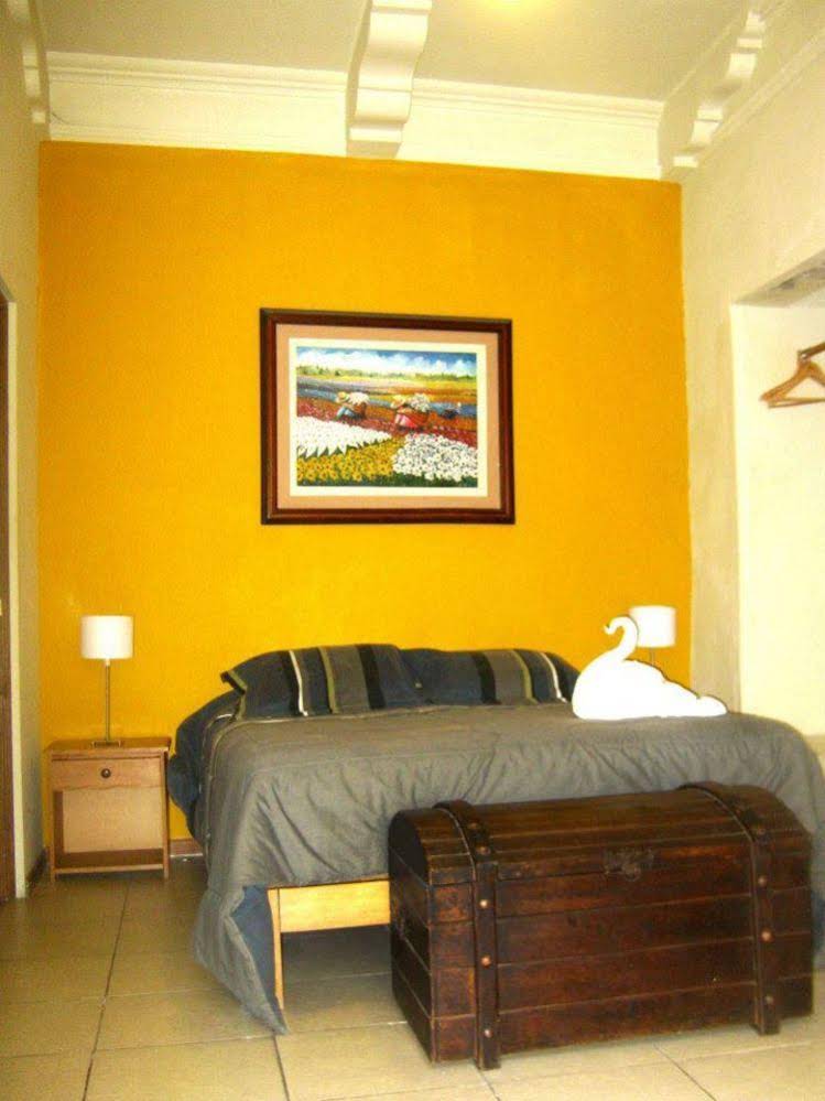 Flying Dog Hostels Arequipa