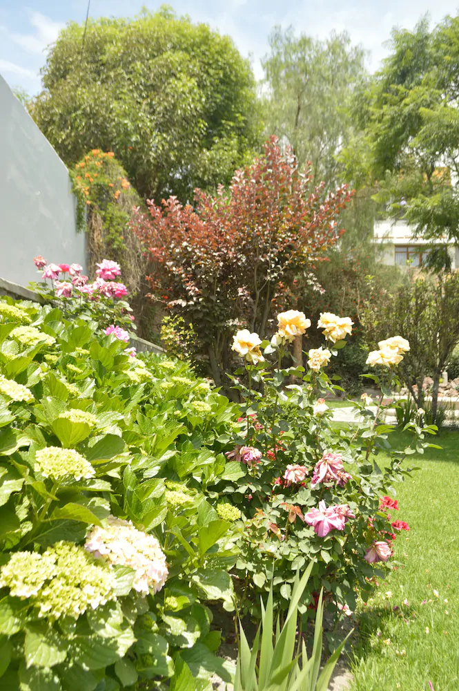 Las Mercedes Hostal Residencial