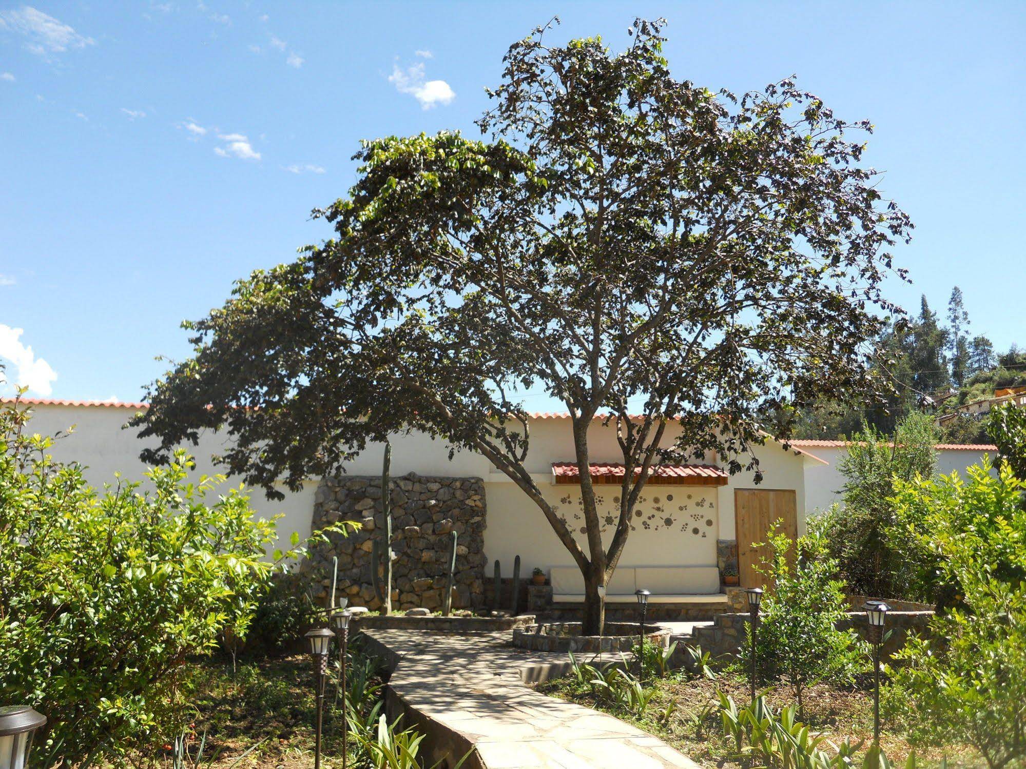 Hotel El Abuelo