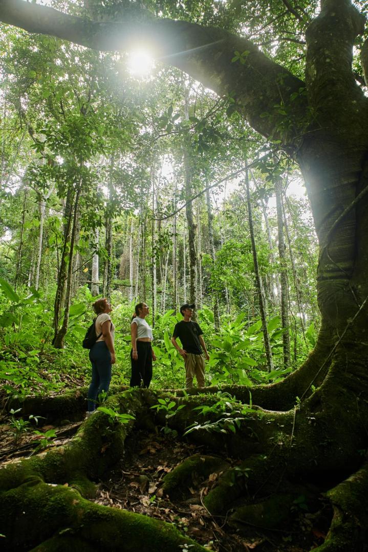Fundo San José Lodge