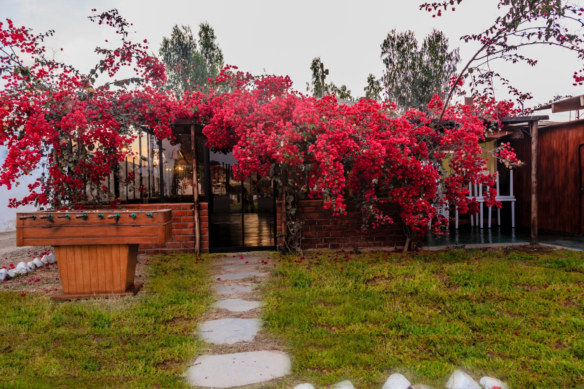 Hotel Vinas del Sol