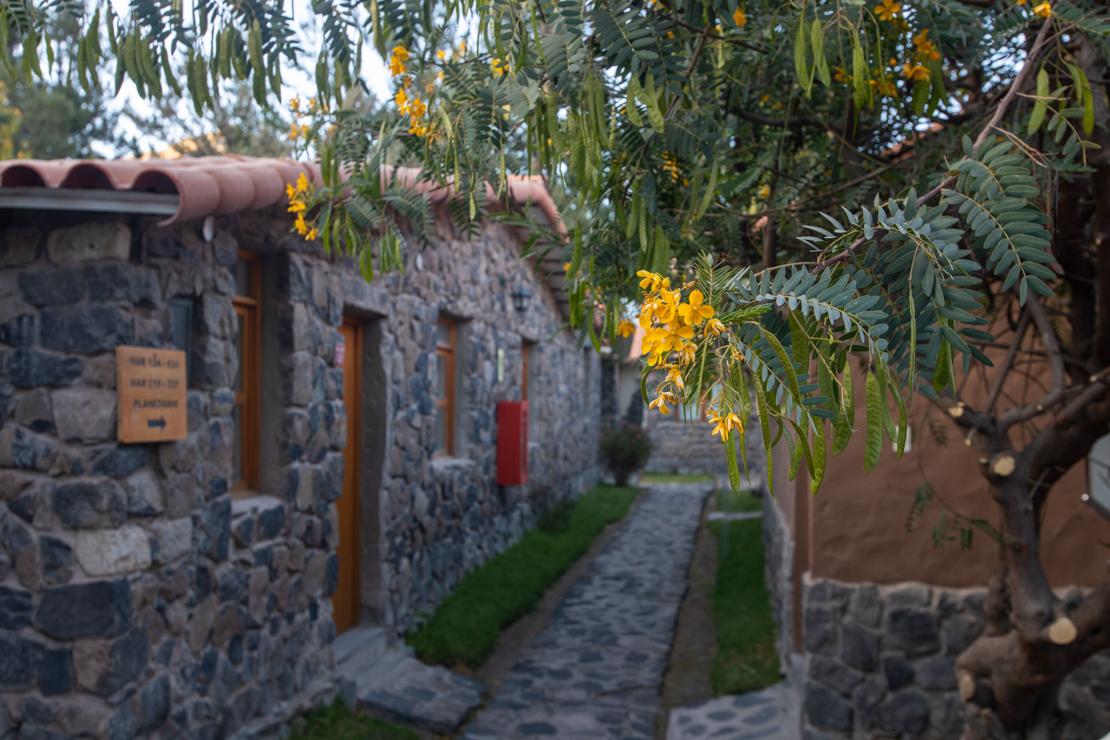 Casa Andina Standard Colca