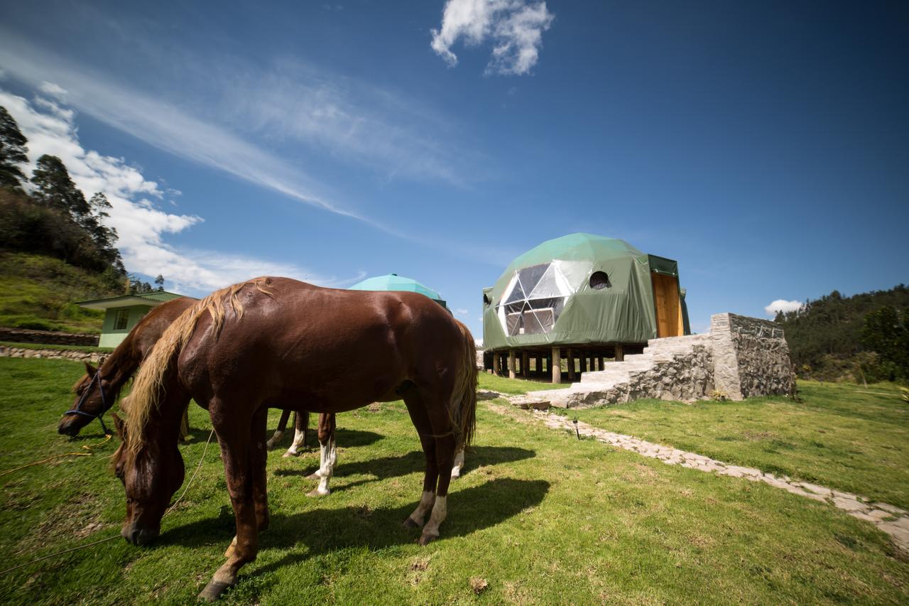 Glamping Cusco Peru Eco Camp