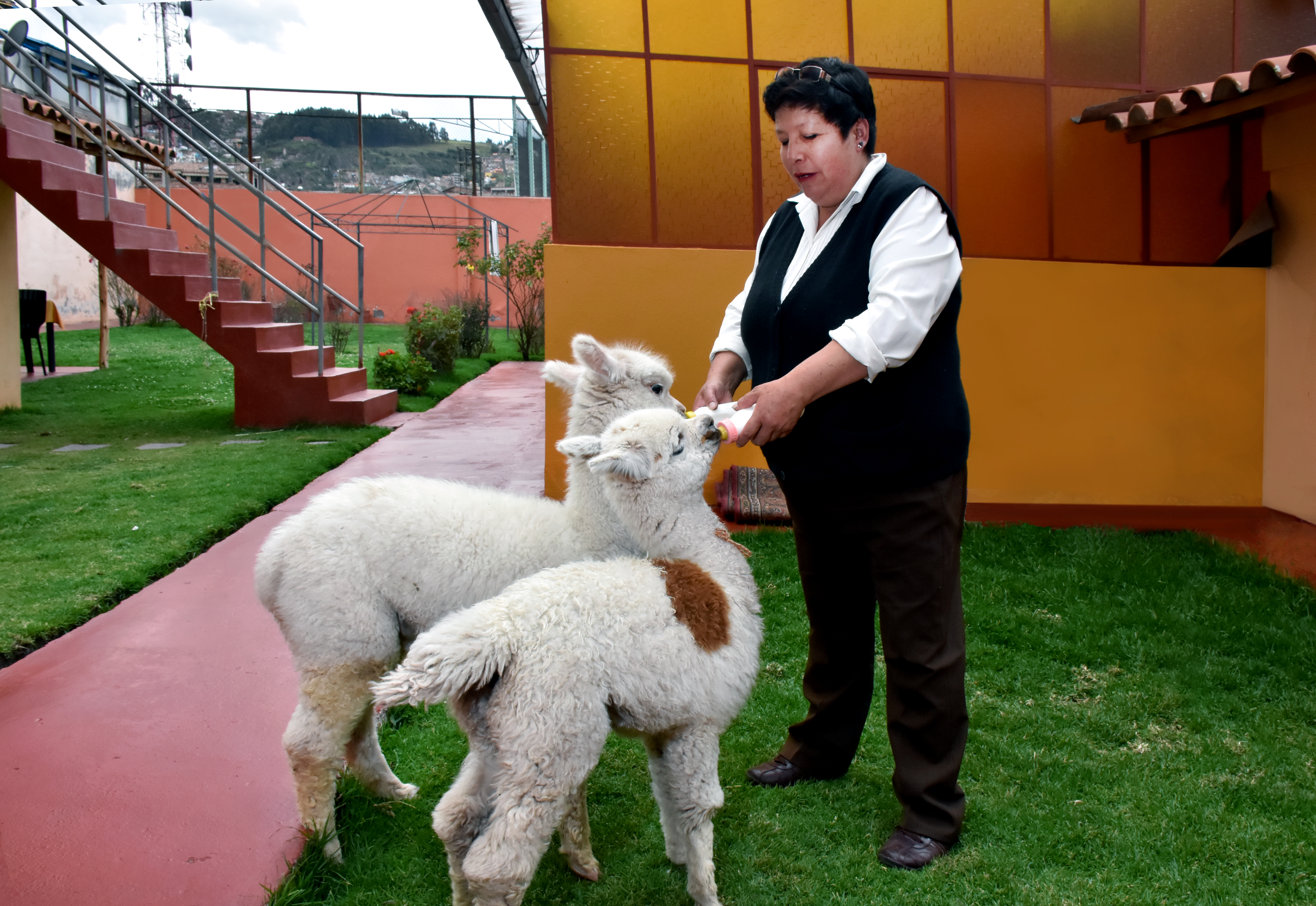 Imperial Cusco Hotel