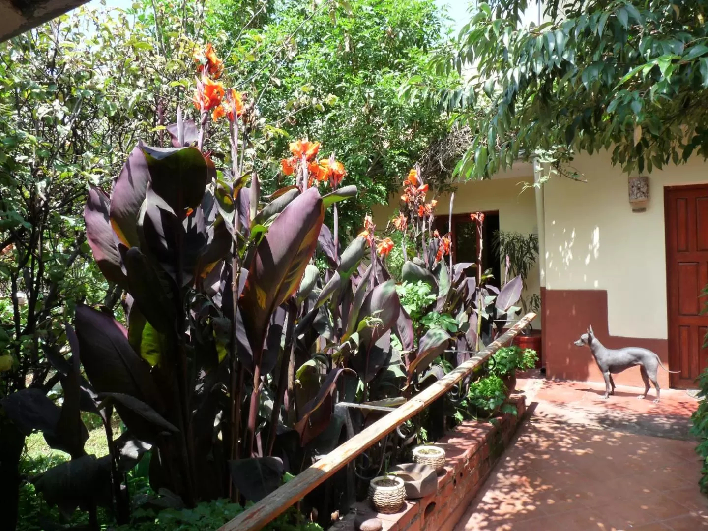 Kukuli Lodge
