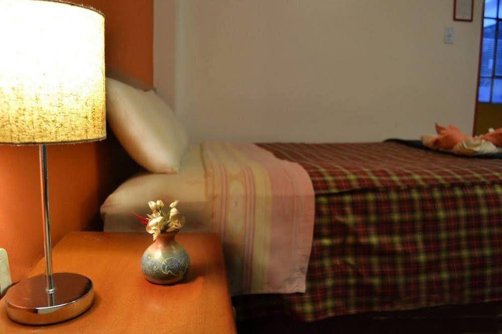 Net House Bed & Breakfast