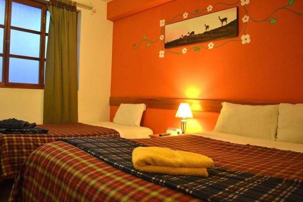 Net House Bed & Breakfast