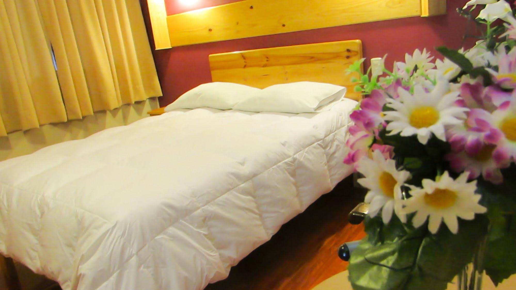 Hotel Savoy Ica