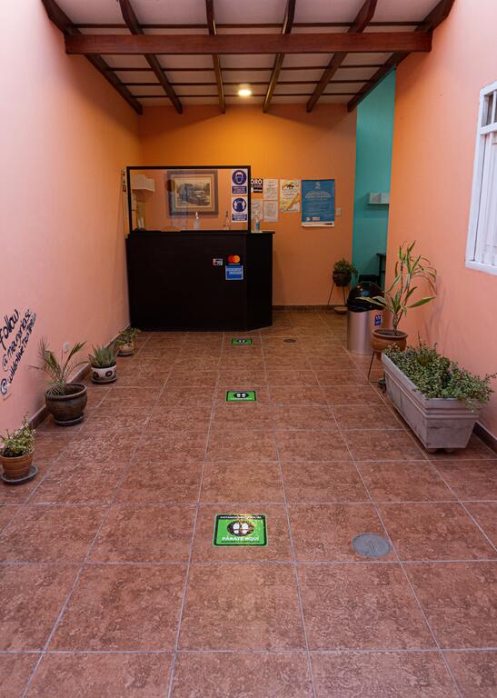 Wild Olive Guest House