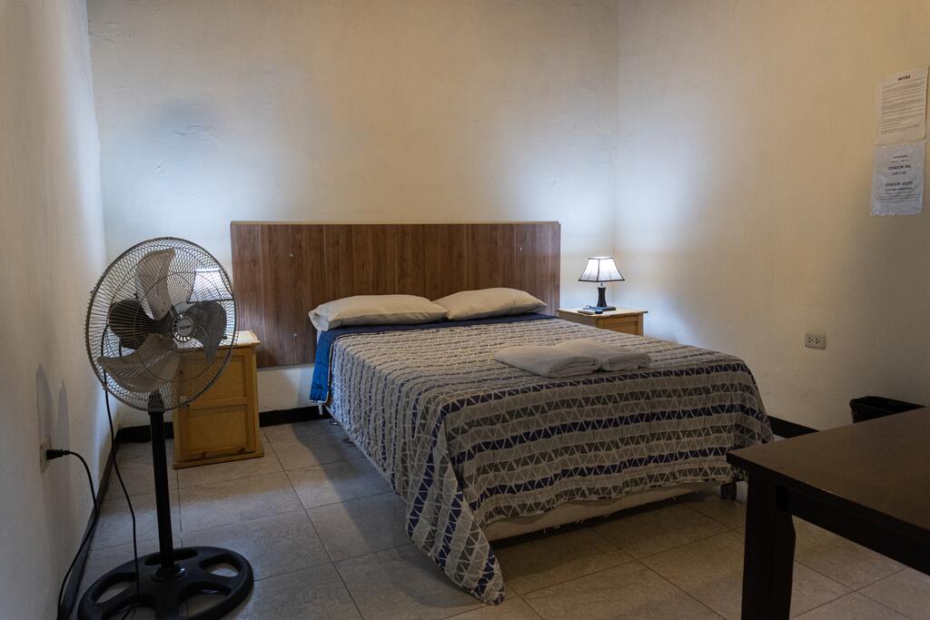 Wild Olive Guest House