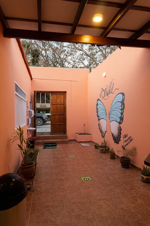 Wild Olive Guest House
