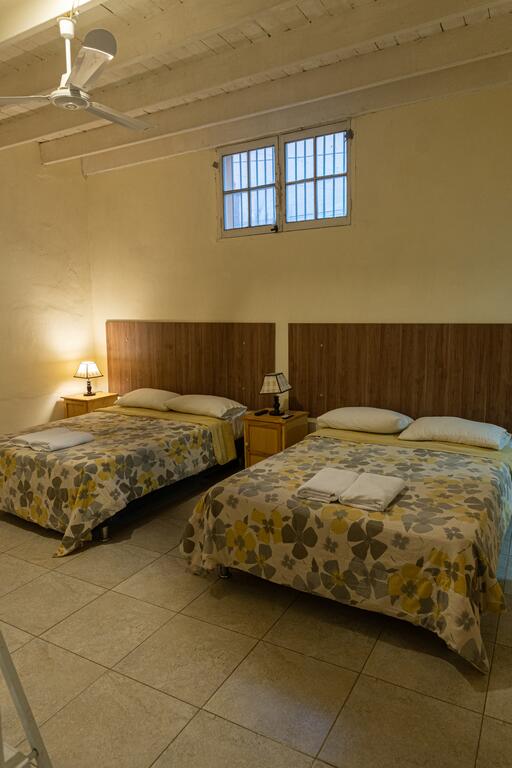Wild Olive Guest House