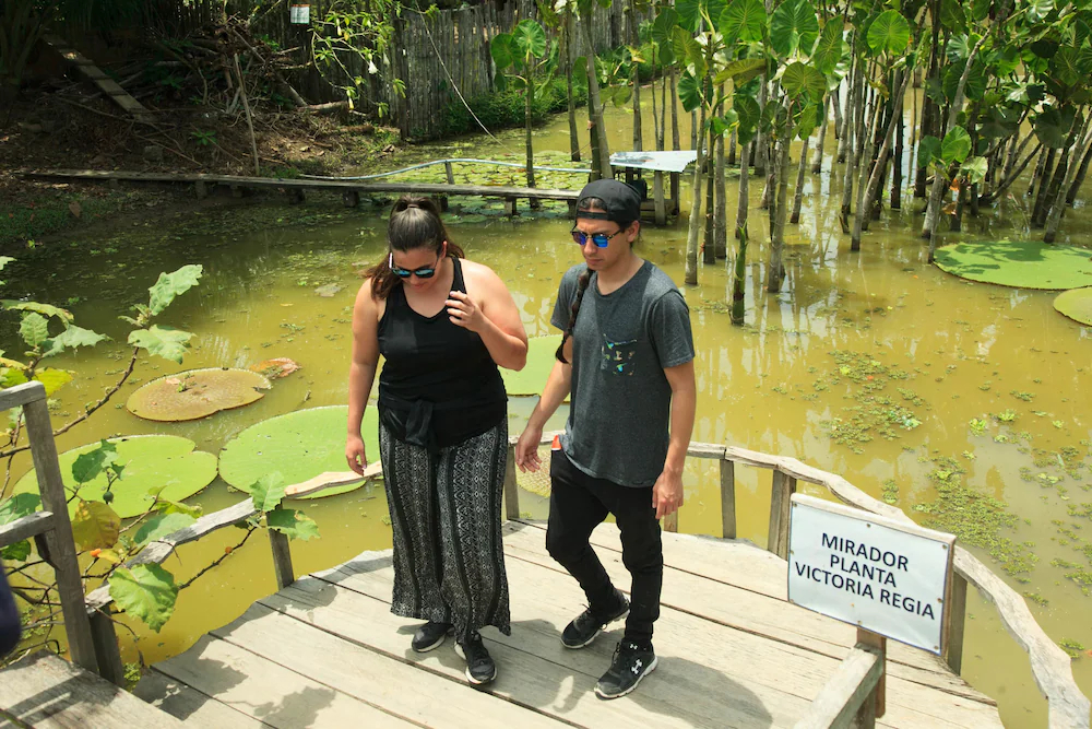 Amazonas Sinchicuy Lodge