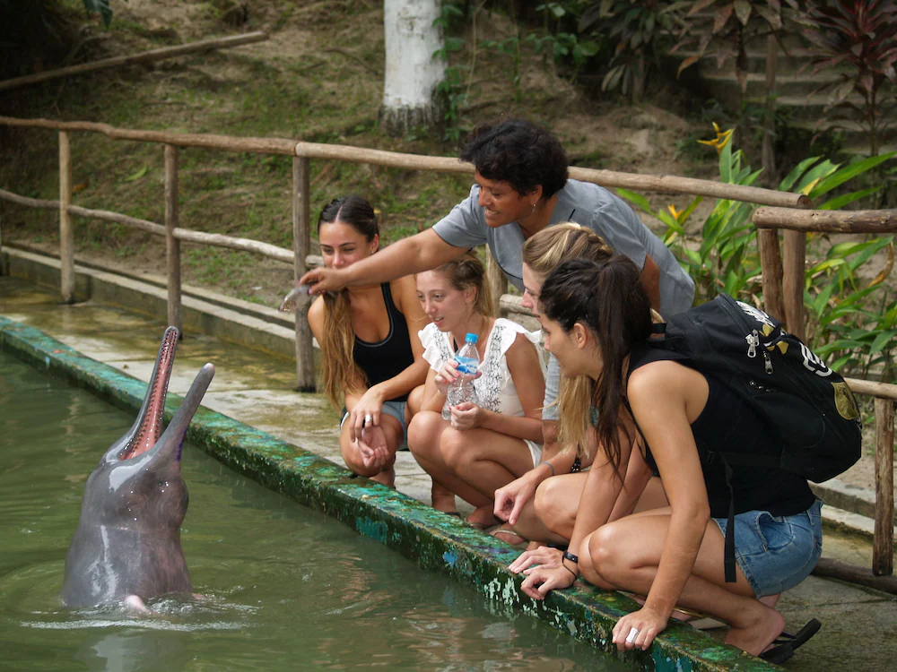Amazonas Sinchicuy Lodge