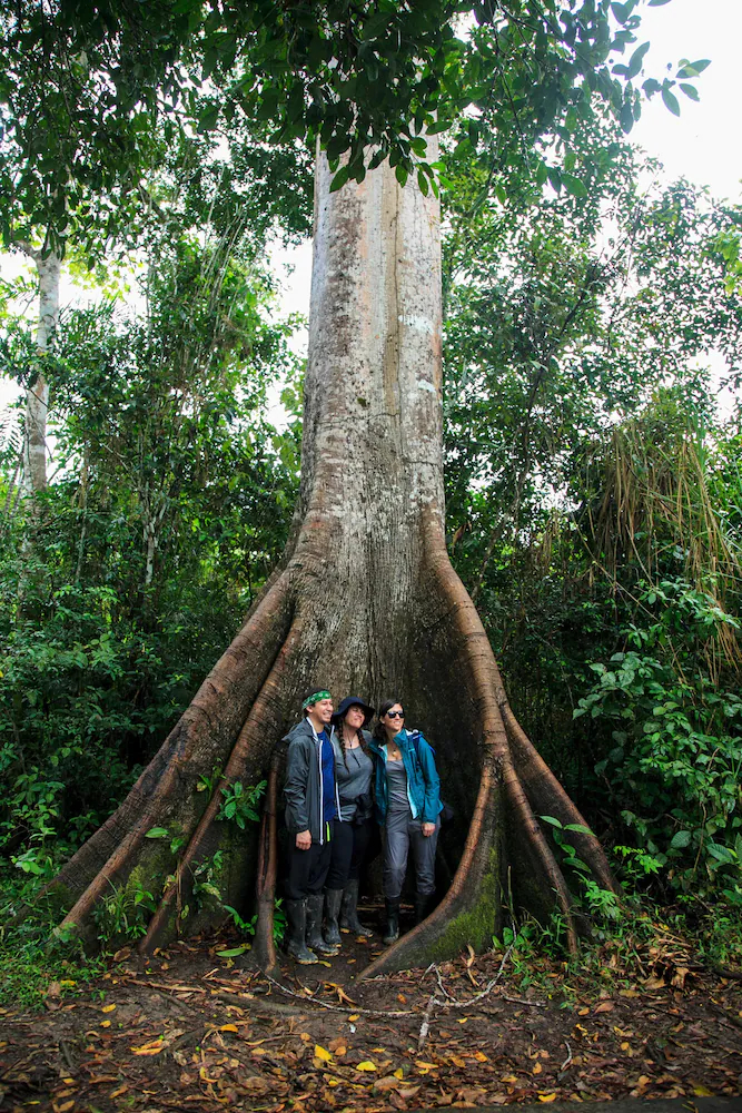 Amazonas Sinchicuy Lodge
