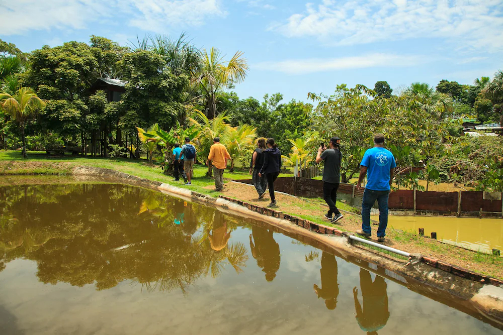 Amazonas Sinchicuy Lodge