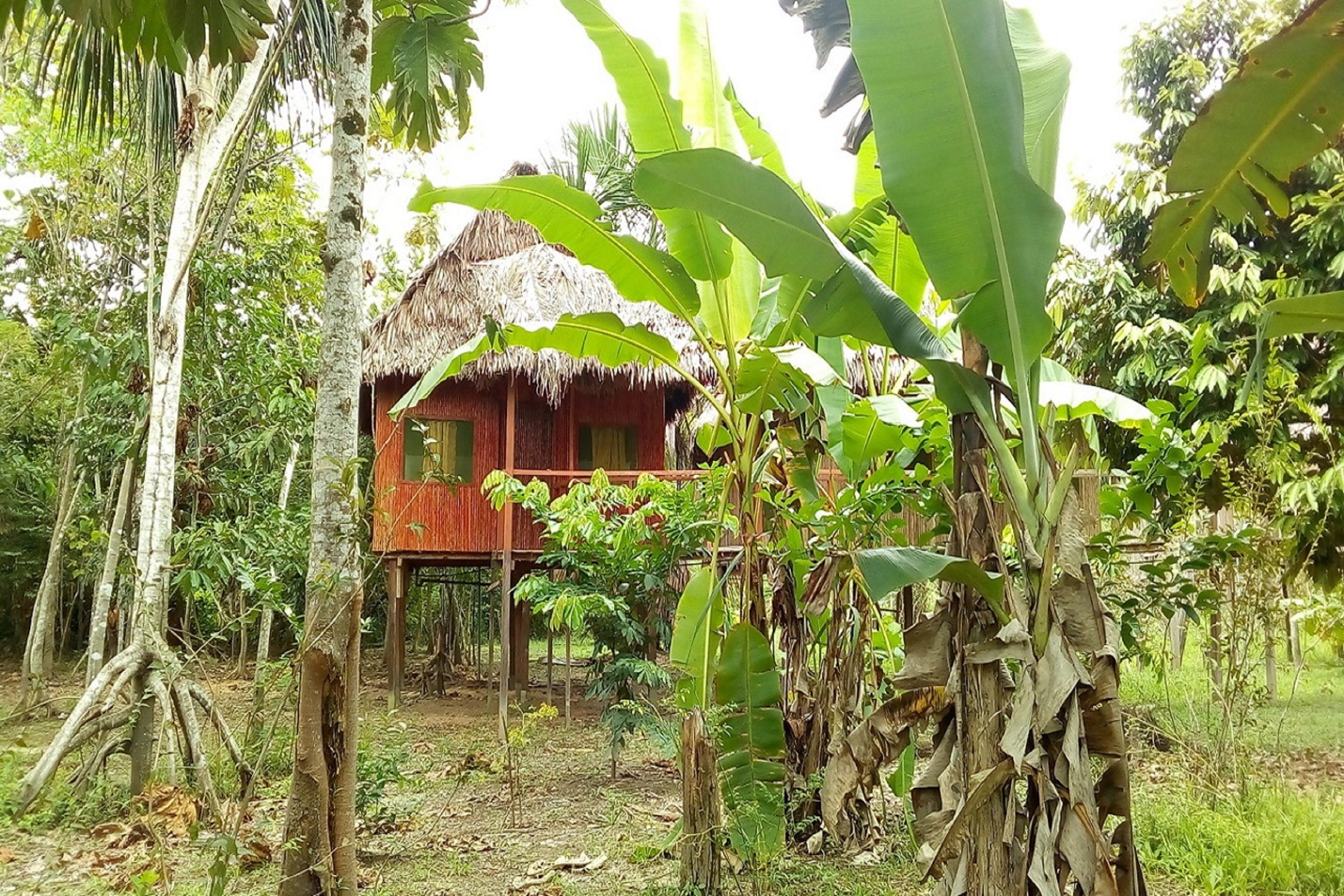 Ayaymama Eco Lodge & Expeditions