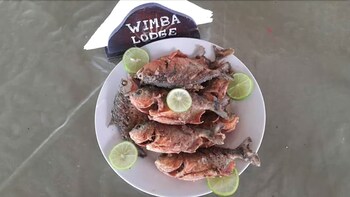 Wimba Expeditions