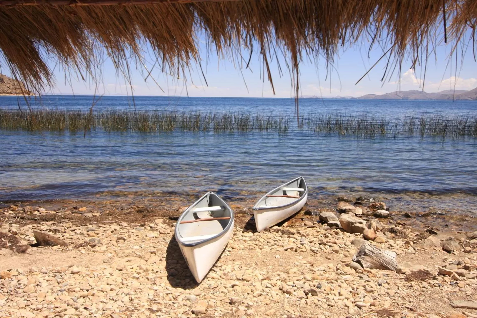 Hotel Isla Suasi