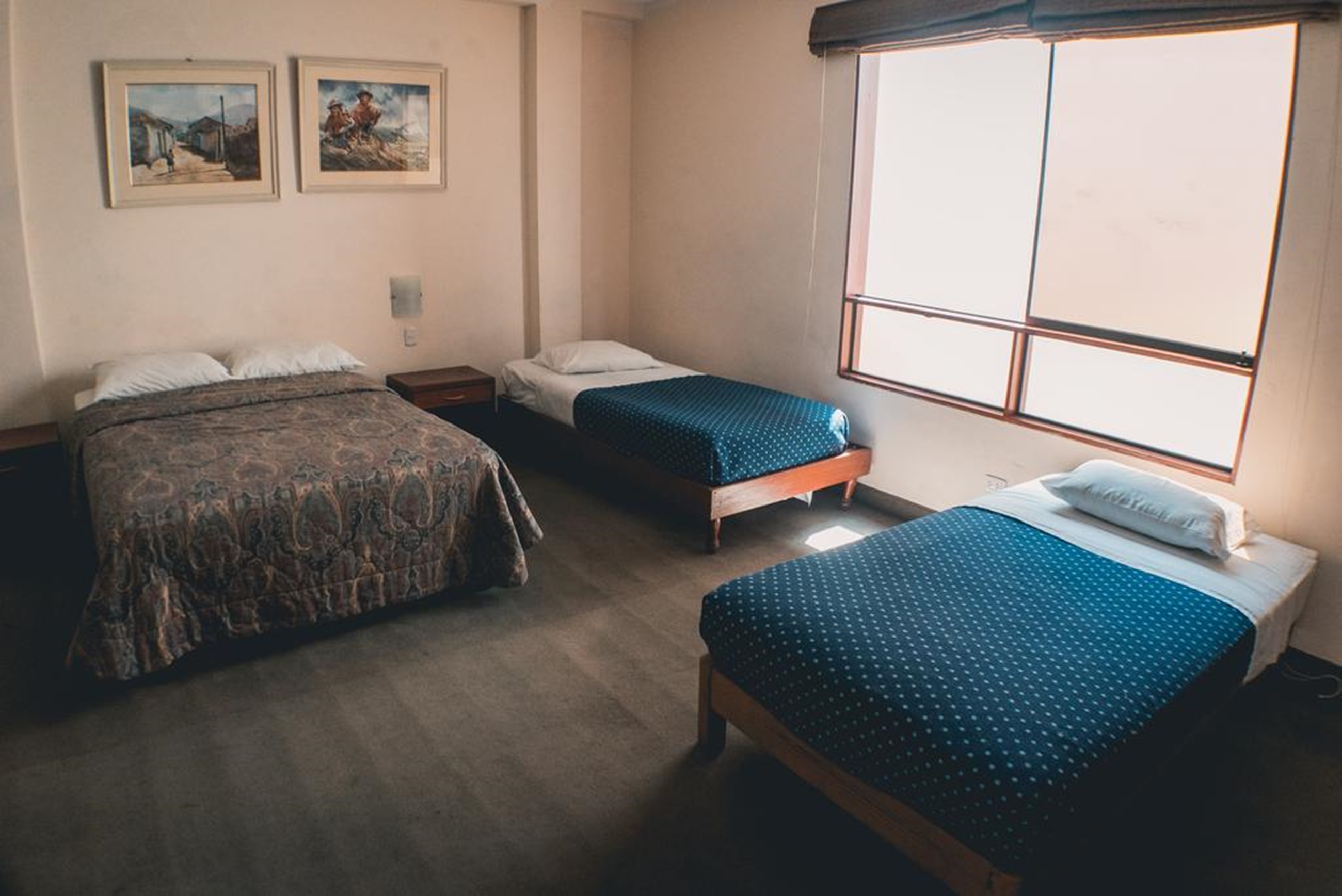 Alpackers B&B