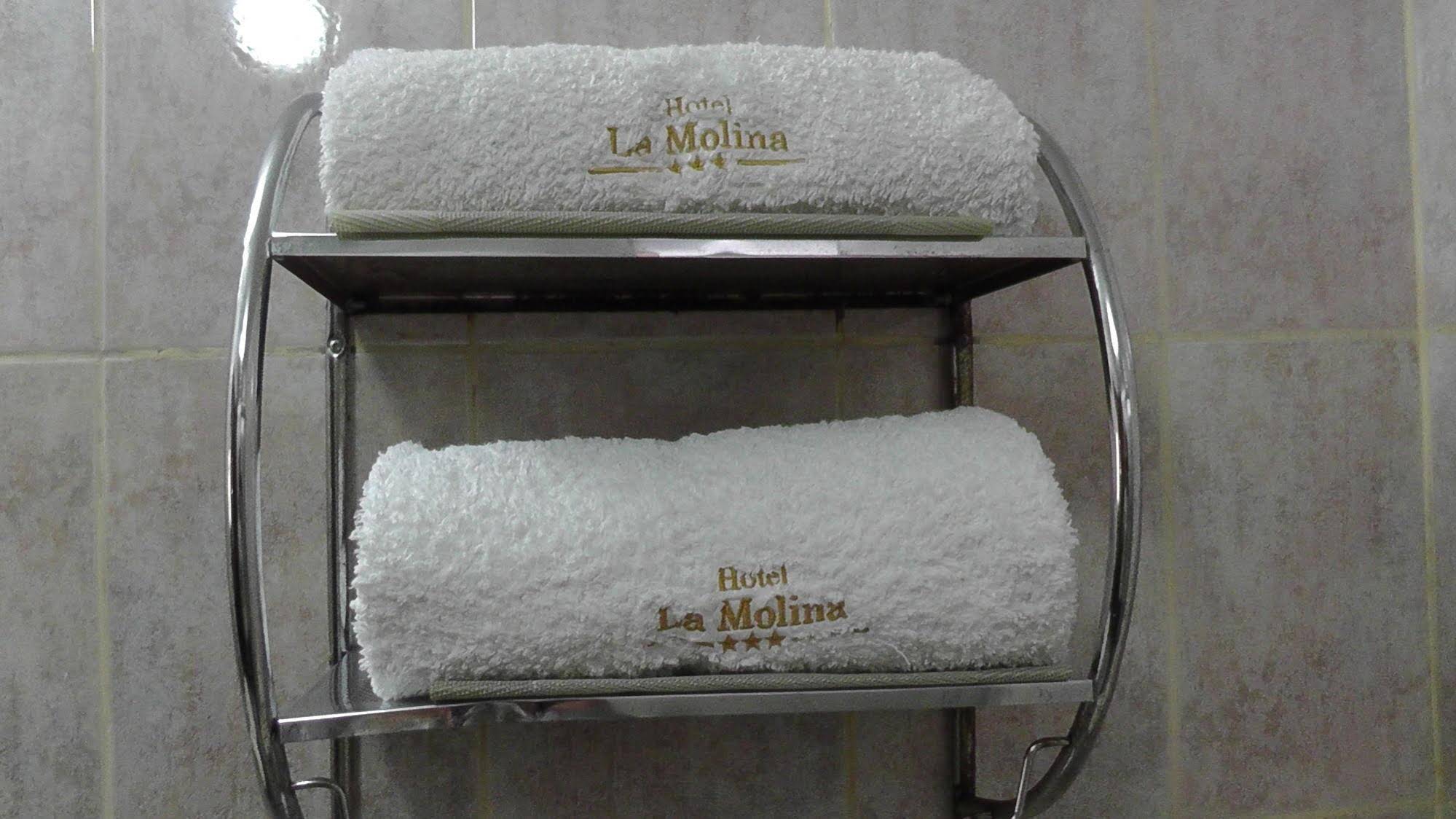 Hotel La Molina