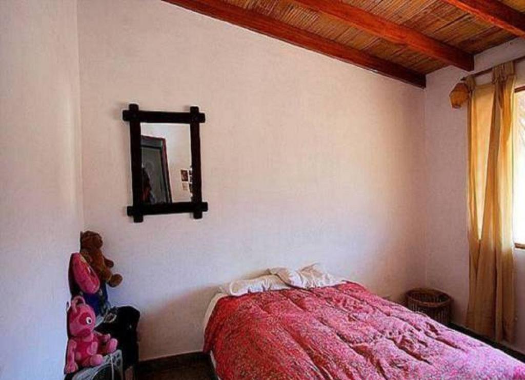 Las Aloes