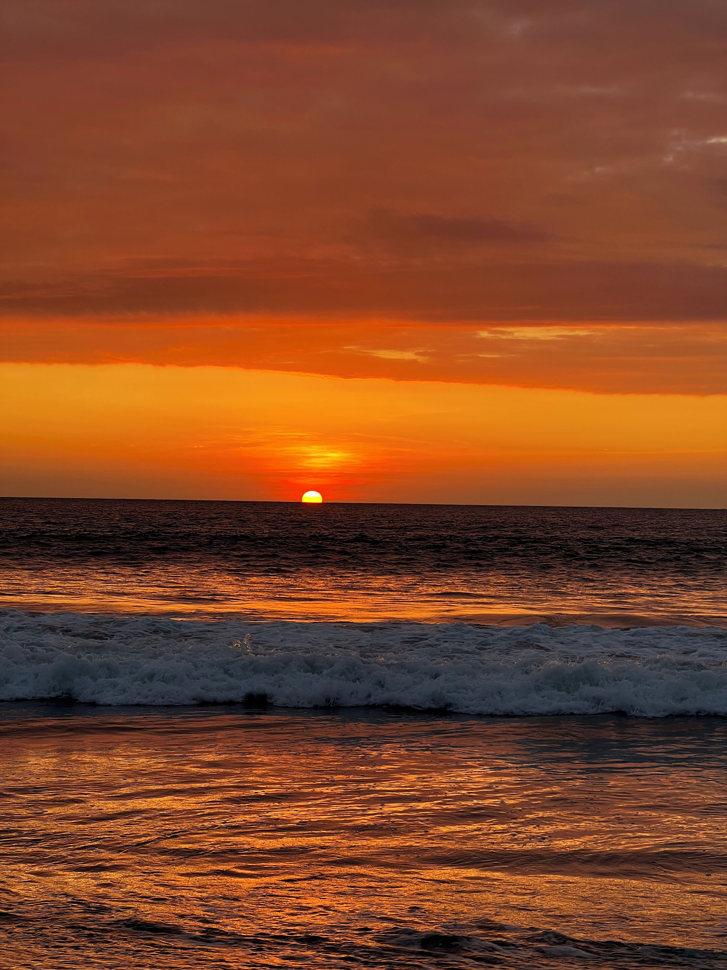 Gamora Hotel Playa