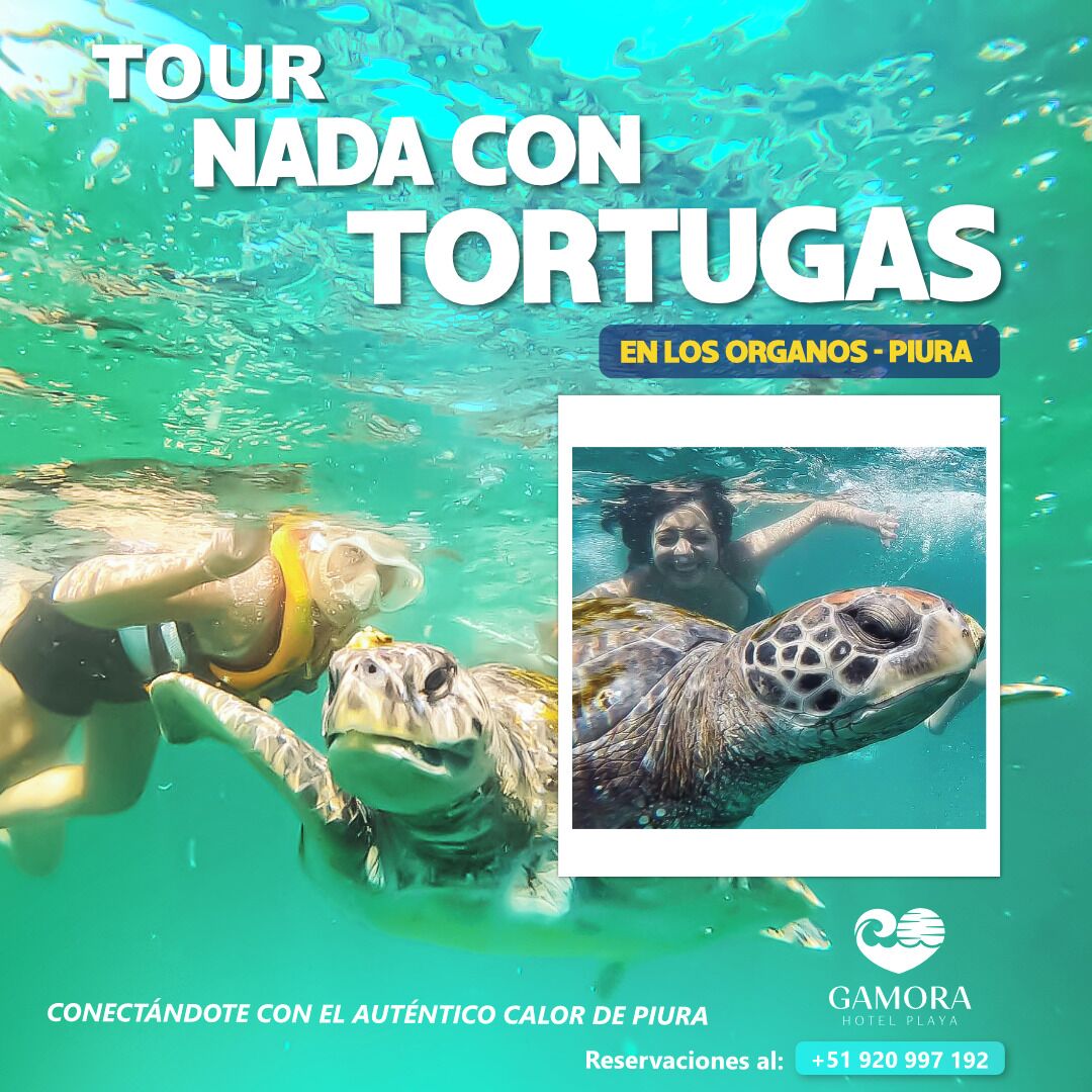 Gamora Hotel Playa