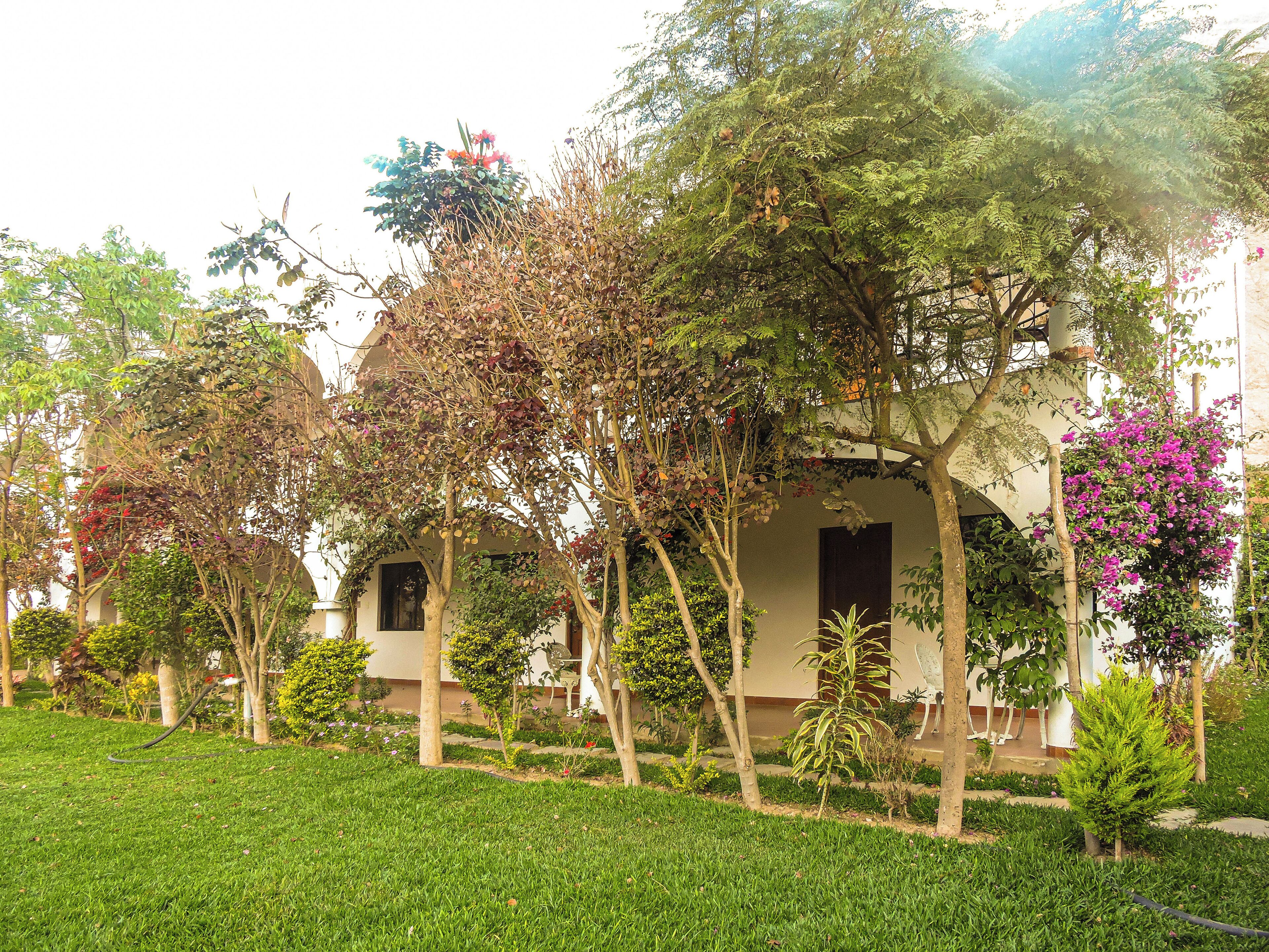 Casa Hotel Mamaluna