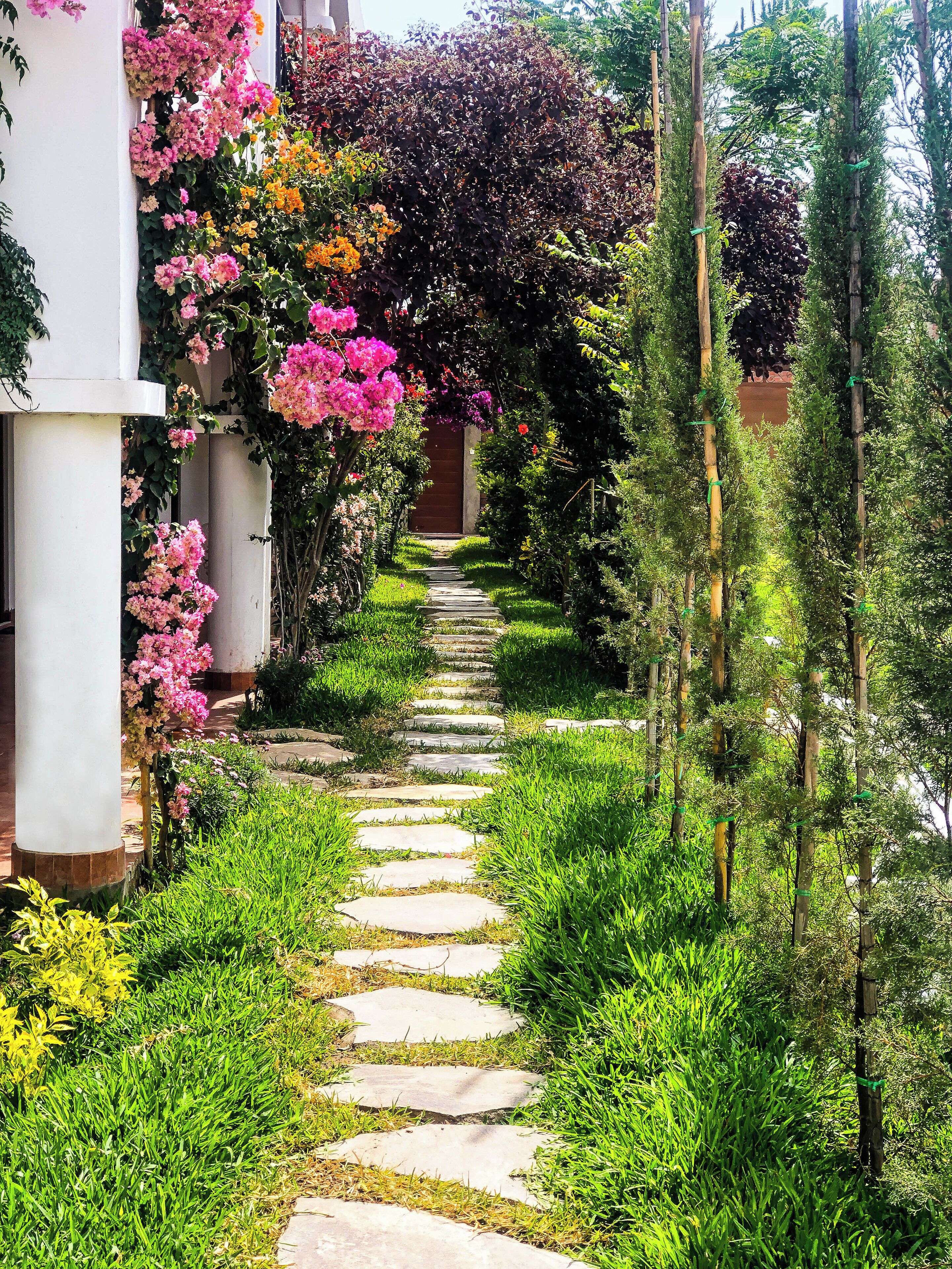 Casa Hotel Mamaluna