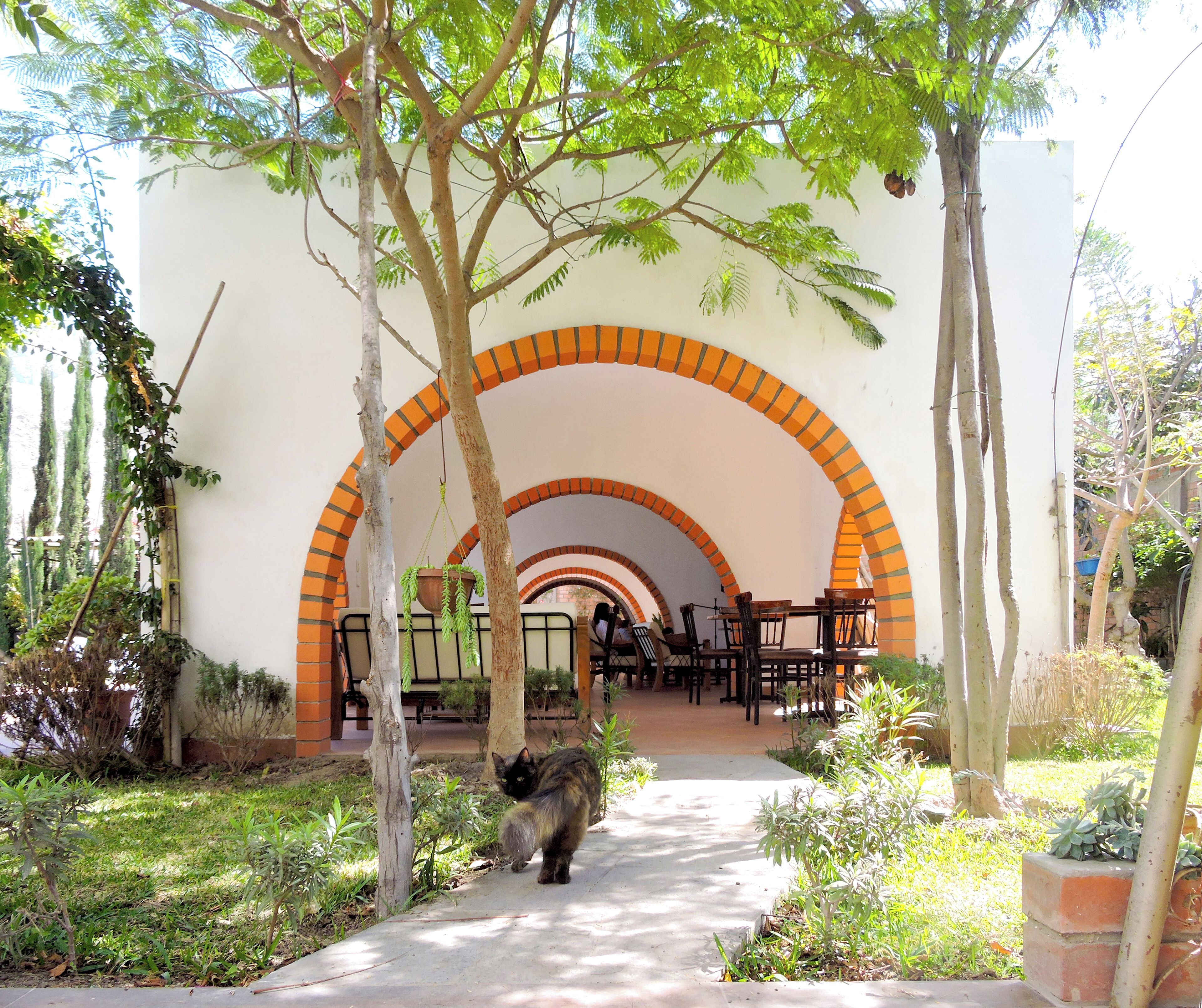 Casa Hotel Mamaluna
