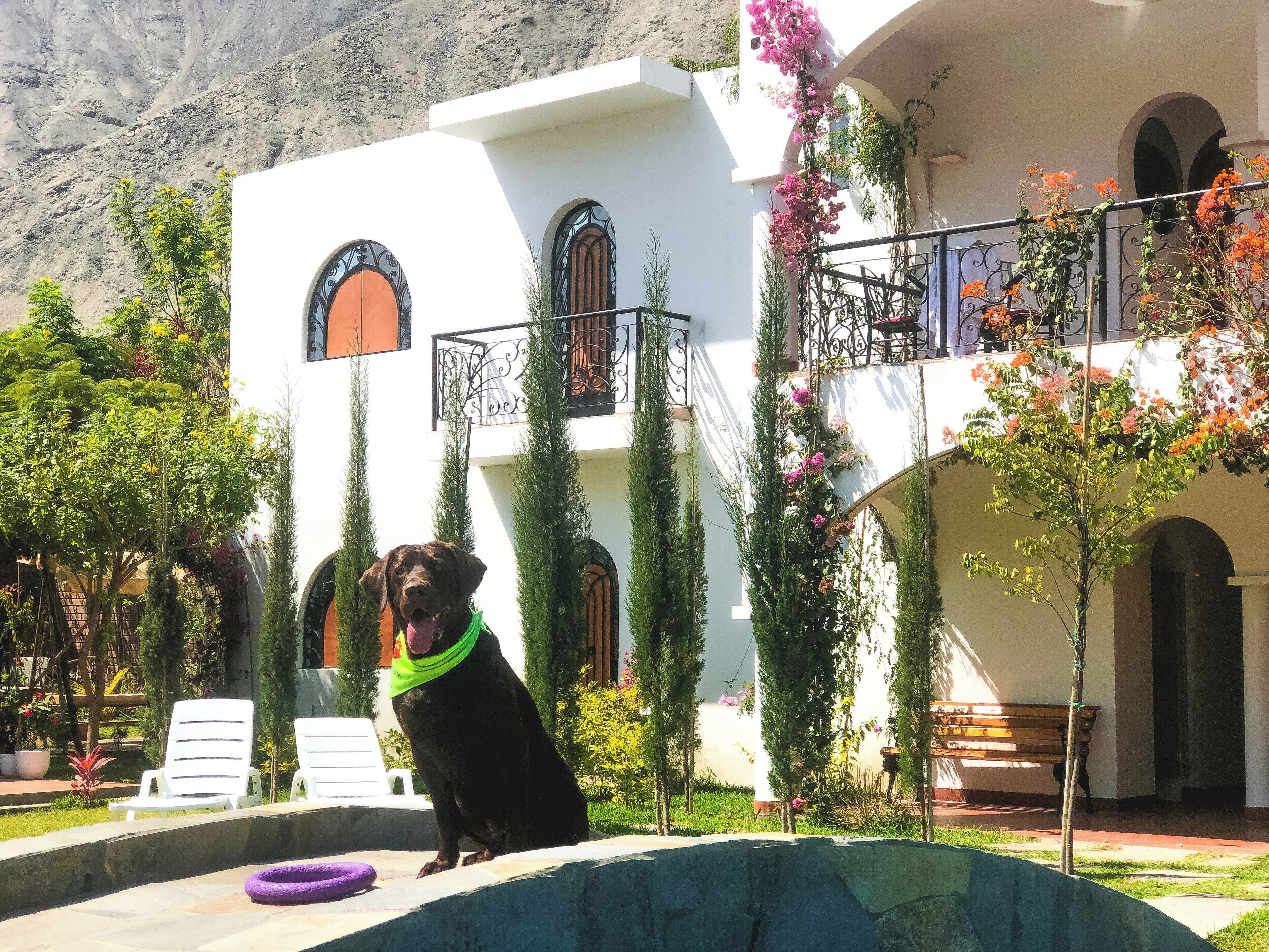 Casa Hotel Mamaluna