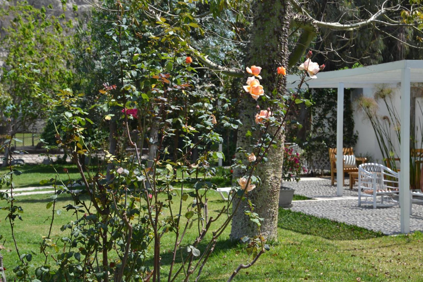 Hotel Los Palomos