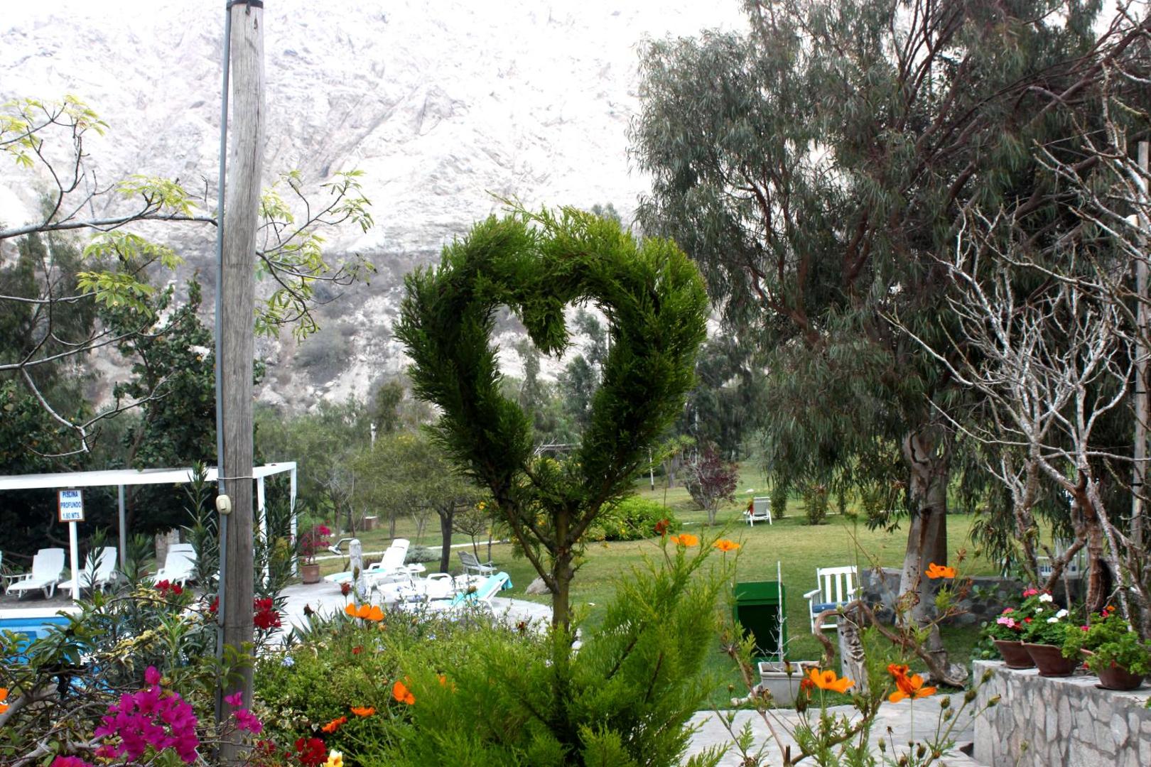 Hotel Los Palomos