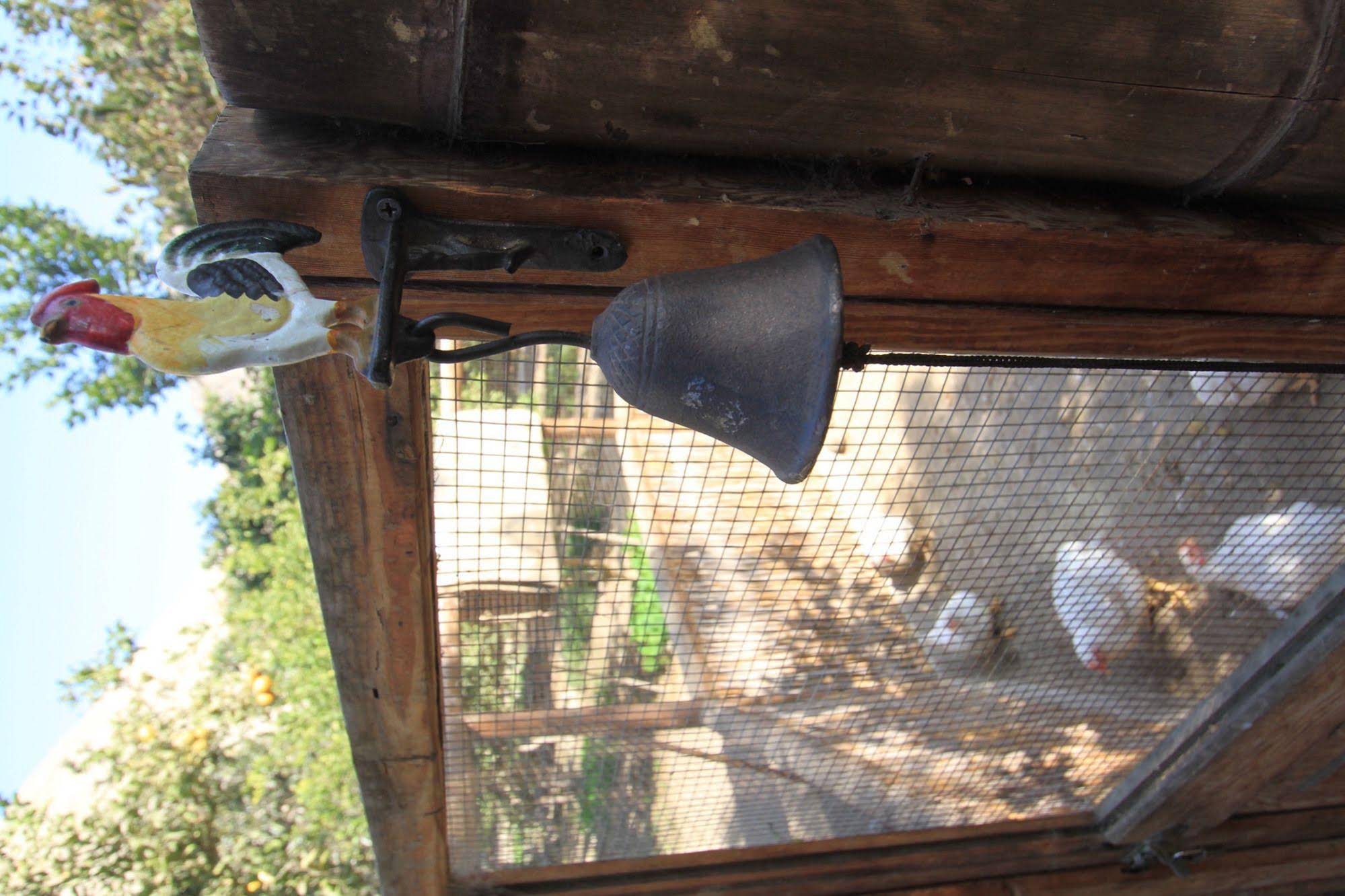 Refugio de Santiago Ecolodge